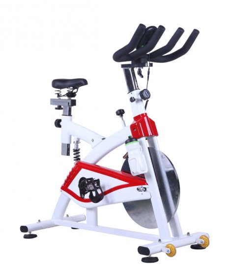 U2248 BodyTrain Action Plus Racing Exercise Bike