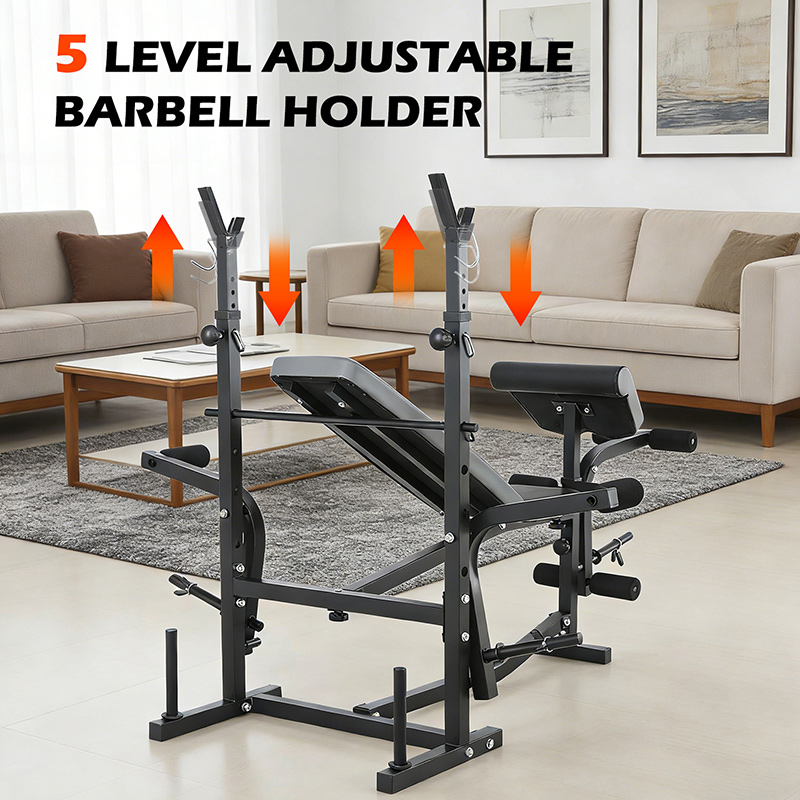 BodyTrain Advanced Weight Bench